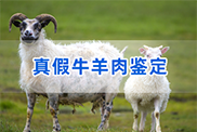 蚌埠羊类动物鉴定